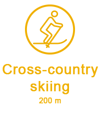 cross-country skiing